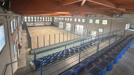 <p>A Torino nasce la Hitball Arena: il primo palazzetto dedicato interamente all&rsquo;Hitball</p>