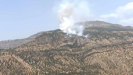 Hakkari'de orman yangını