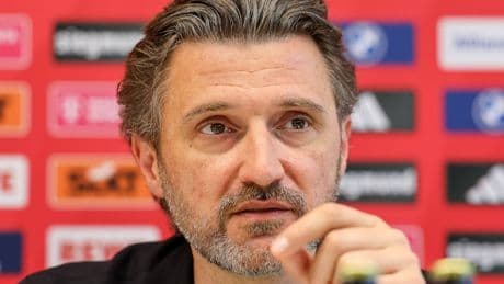 Pesic bei den Bayern-Basketballern: Der Architekt ist müde