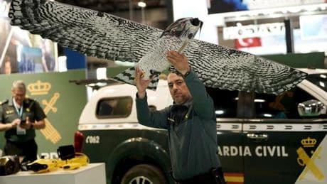 El pájaro de la UCO: la Guardia Civil persigue al crimen organizado con un dron disfrazado de ave