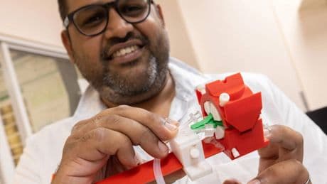 Una nueva tecnología abre el camino para el trasplante de ojos en humanos