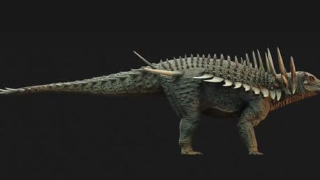 Completan el aspecto del anquilosauro más antiguo descubierto: una armadura corporal y un collar de púas