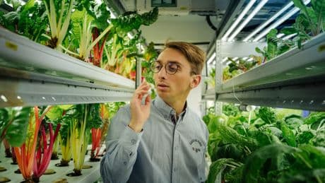 Fermes urbaines, la fin d’un modèle ?