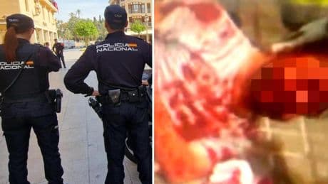 Indignación en la Policía por el agente en la UCI tras la paliza en Elche: "Asusta que te puedan matar por trabajar"