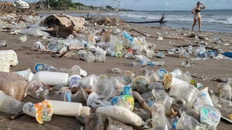 Los ecologistas dan "banderas negras" a 48 playas españolas por la mala gestión