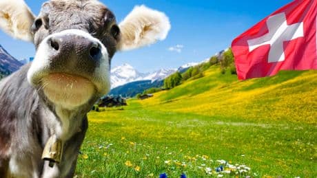 Swiss AI For Public Good: A ProSocial AI Blueprint For The World?