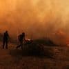 Incendies violents en Grèce : des milliers d'hectares brûlés, cinq pompiers blessés et des soutiens européens en route