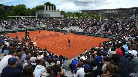 Tennis star accuses 'horrible' fans of spitting on him in French Open defeat