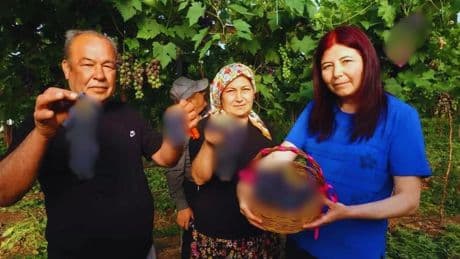 Tarımda ‘Siyah inci’ coşkusu başladı! İlk hasat yapıldı, yüzler güldü: Kilosu 250 TL’den satışa çıktı