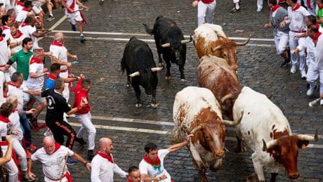 Pamplona holds opening bull run during San Fermín festival