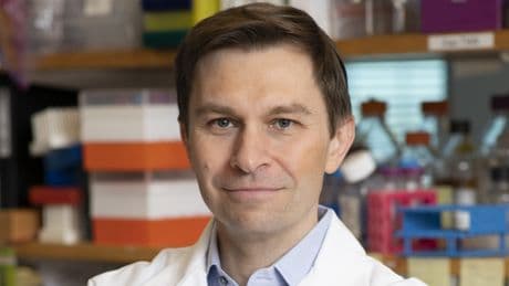 David Sinclair, gurú de Harvard: "Tres comidas al día en España y picar es demasiado, se apagan los genes de la longevidad"