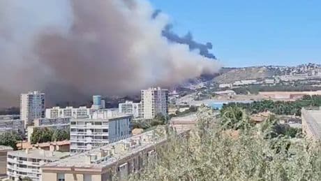 Major wildfire breaks out near French city - with flights suspended at airport