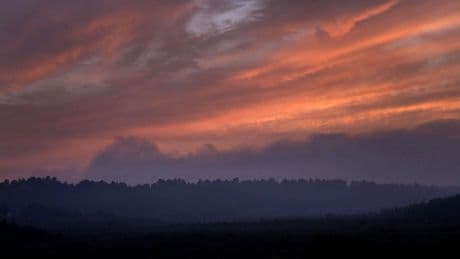 Wildfires raging in northwestern Ontario trigger evacuation alerts