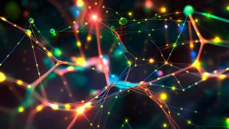 Des chercheurs prouvent que des nouveaux neurones se forment aussi dans un cerveau adulte