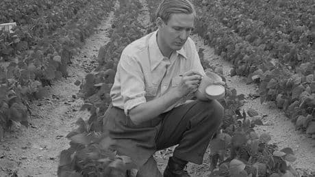 Book Review: ‘The Spinach King,’ by John Seabrook