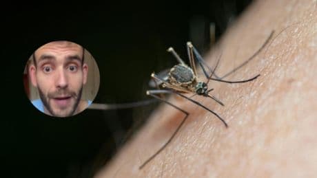 Jorge Ángel, enfermero: ''Los mosquitos causan más de 730.000 muertes al año. Transmiten muchas enfermedades''