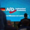 Verfassungsschutz: Bericht: Vermerk zu Einstufung der AfD vorab im Netz