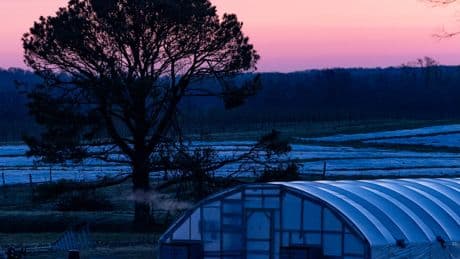 A Peach and Apple Farmer’s Uphill Quest to Feed Poor Families, and His Own