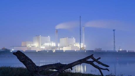 Umwelt- und Klimaschutz: Immer mehr Kommunen setzen auf Klimaschutzmanager