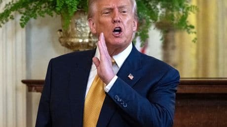 Trump Abruptly Ends CNN Interview After Being Questioned About New Epstein Photos