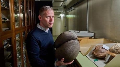 Gedächtnis der Pflanzenwelt: So arbeitet das Herbarium