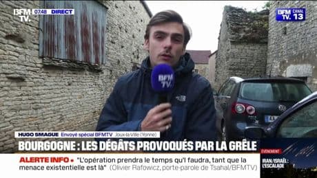 Orages de grêle: l'heure est à la constatation des dégâts en Bourgogne