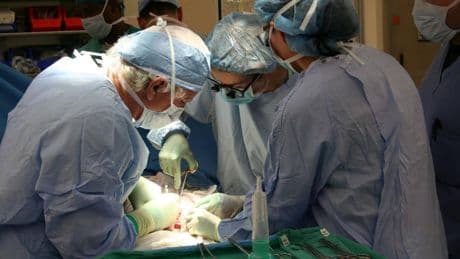 Xenotrasplantes, impresión 3D y órganos humanos en animales: así será el futuro de los trasplantes "en 5 o 10 años"