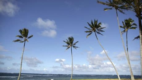 Studie: Unter Hawaiis Stränden verbirgt sich jede Menge Plastikmüll