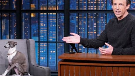 Frisbee, Seth Meyers’s Dog and Andy Samberg’s Archenemy, Dies