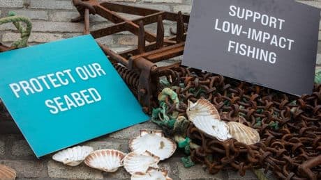 Conservation groups hit out at ‘unfulfilled promises’ over Scotland’s seabed