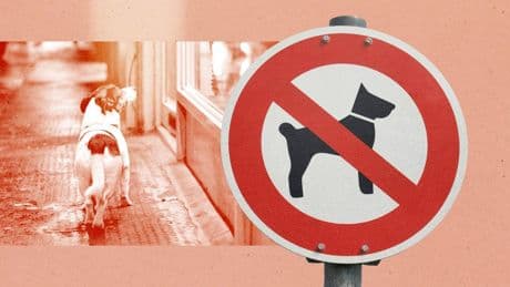 Dogs are already ruining our lives – now they’re destroying our restaurants