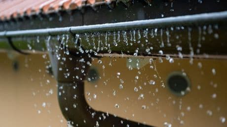 Wetter: Wechselhaftes Wetter in Bayern erwartet