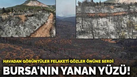 Bursa'nın yanan yüzü! Havadan görüntüler felaketi gözler önüne serdi