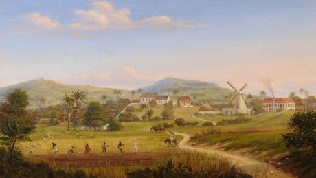 À la recherche d'un ancien campement secret d'esclaves en fuite dans les montagnes de l'île de Sainte-Croix
