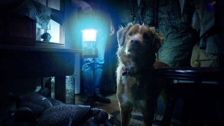 La película de terror desde el punto de vista de un perro que dispara las búsquedas un 2000%