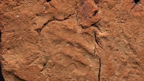 Descubren la huella de un alfarero egipcio de hace 4.000 años bajo una pieza funeraria