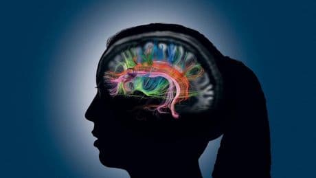 El mejor suplemento natural para la memoria es un ingrediente que seguramente ya tengas en la cocina, según Harvard