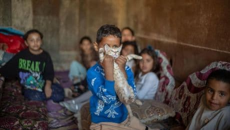 Liveblog zum Krieg in Nahost: Iran wehrt sich gegen Raketenangriffe – Luftalarm in Israel