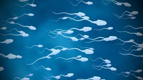 Países Bajos detecta al menos a 85 “donantes masivos” de semen desde 2004: cada uno podría haber tenido más de 25 hijos por donación