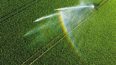 Landwirtschaft: Bauern reagieren auf Trockenheit: Mehr Bewässerung und Soja