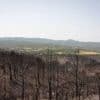 Incendie dans l’Aude : deux adolescents sauvent la maison de leurs voisins, menacée par les flammes