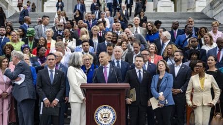"There needs to be blood": Democrats' voters tell them to "get shot" in Trump resistance push