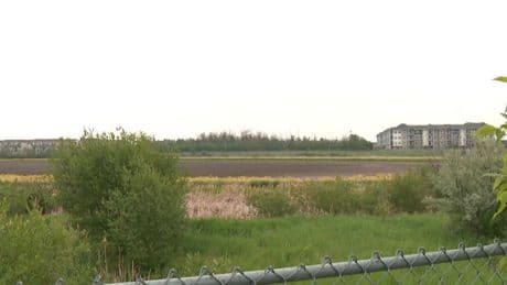 Where did the water go? Poplar Lake dries up in north Edmonton