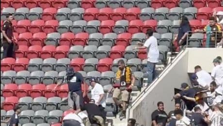 Wild brawl between LA Galaxy and San Diego FC fans requires large police presence in chaotic scene