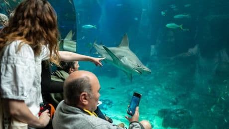 Tourisme et handicap : entre manque de personnel, coûts élevés et exigences de sécurité