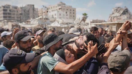 Médicos europeos tras abandonar Gaza: “Los animales tienen más derechos en el Reino Unido que los palestinos en su tierra”