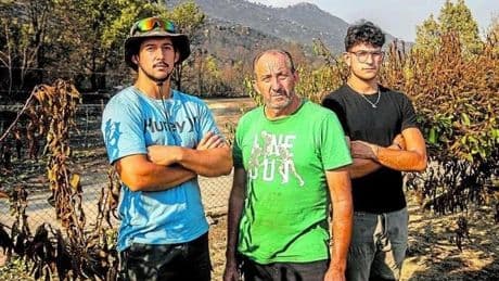 Los daños a los cerezos por el fuego: «En horas hemos perdido el trabajo de una vida»