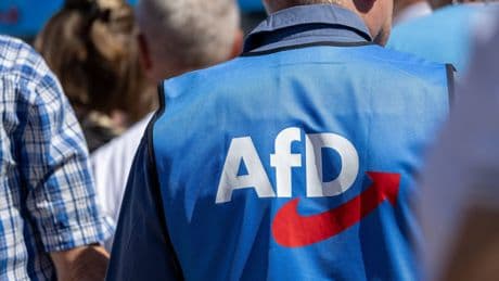 AfD: 68 Prozent der Deutschen glaubt an AfD-Ministerpräsidenten