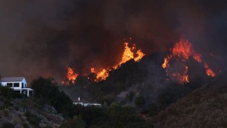 Insurance commissioner signals possible probe into State Farm's handling of L.A. wildfire claims