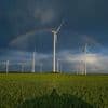Energiewende in Potsdam: Wo Windparks entstehen könnten